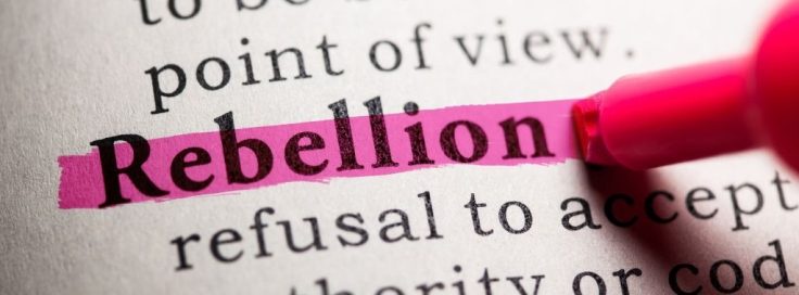 A close-up photo shows the word 'Rebellion' highlighted in pink with a pink marker in a dictionary. The definition below…
