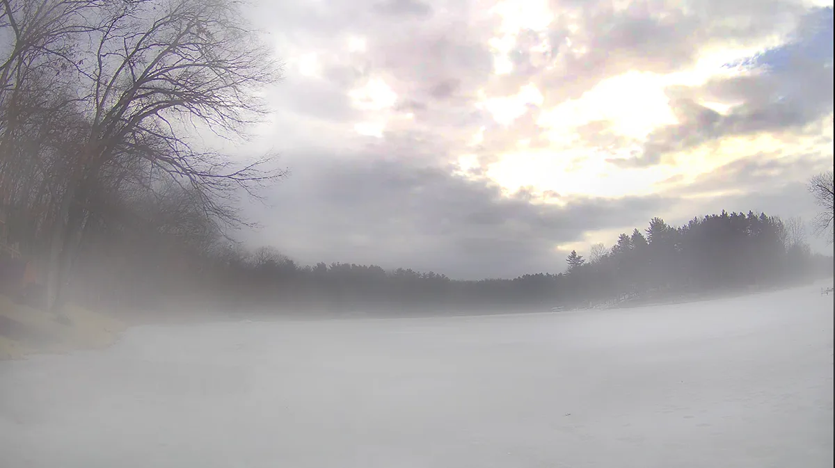 A wide, foggy winter scene showing a frozen lake or field with bare trees on the left and a distant treeline under a cloudy…