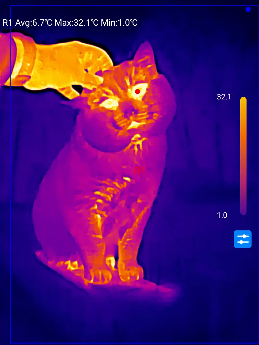 A thermal imaging photo shows a cat being petted by a human hand, with the cat's body glowing in warm colors and the hand…