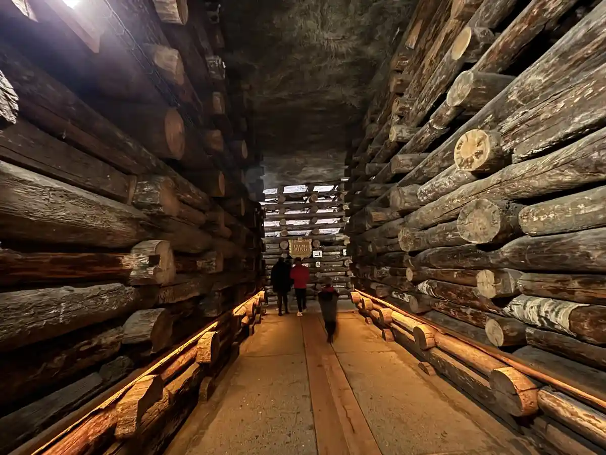 A narrow, dimly lit tunnel constructed entirely from stacked, weathered logs, with a wooden walkway running down its center…