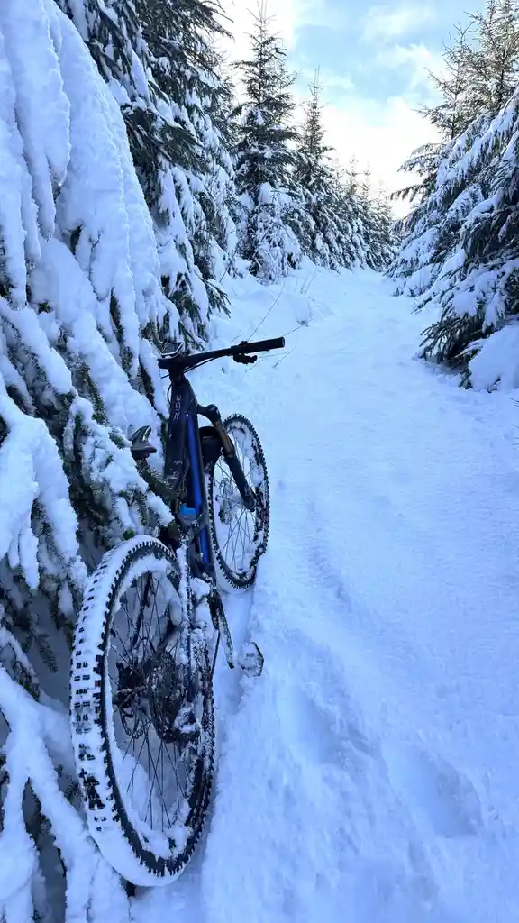 A mountain bike, covered in snow, leans against a snow-laden evergreen tree in a narrow, snow-covered forest trail. The…