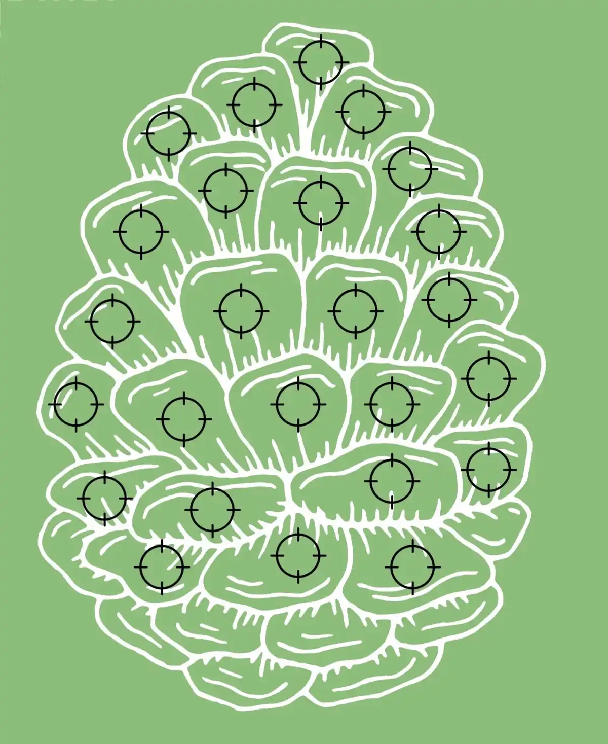 A stylized green brain outline with white lines defining its folds and grooves, overlaid with numerous black crosshairs…