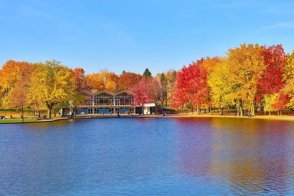 Breathtaking Autumn Foliage
