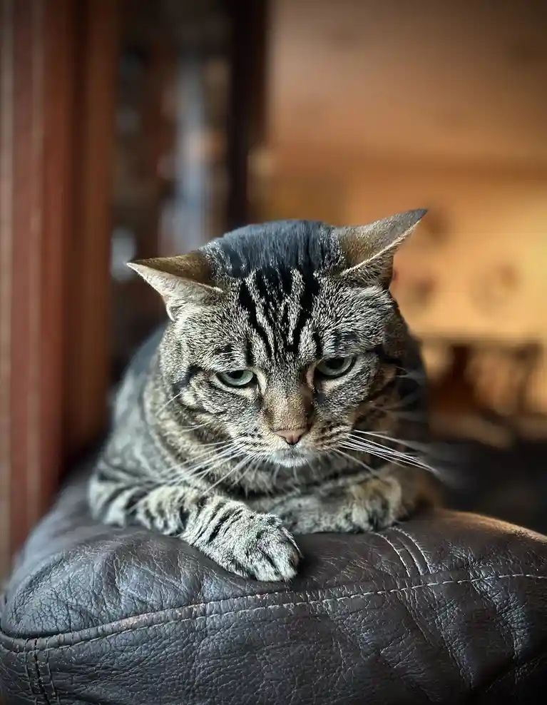 A moment of deep thought