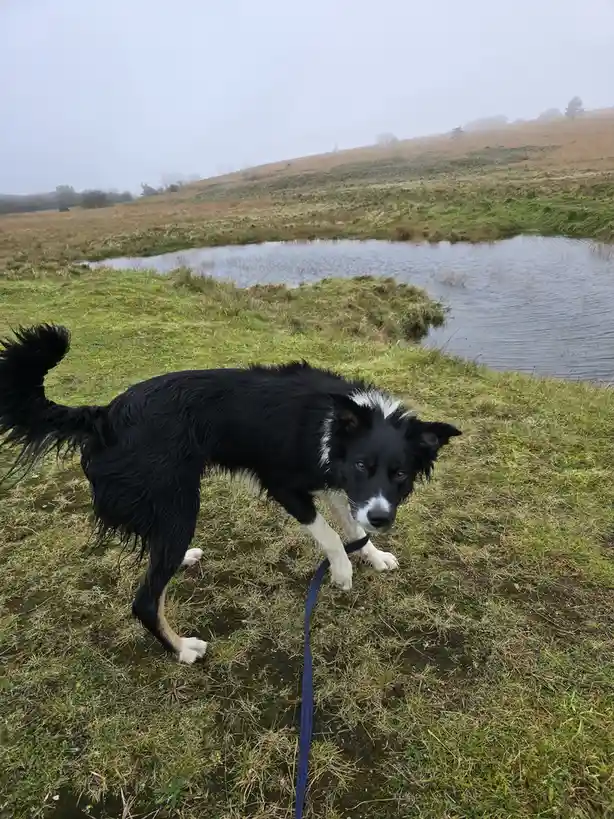 I've got a brilliant idea, come along with me!