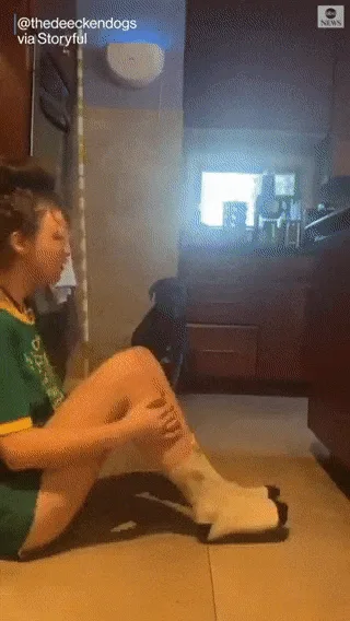 Meet the Most Amazing Assistance Dog Ever!