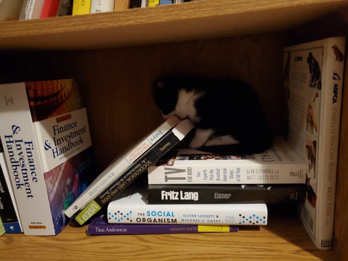 A black and white cat is curled up and sleeping on a stack of books on a wooden bookshelf. The books include titles like…