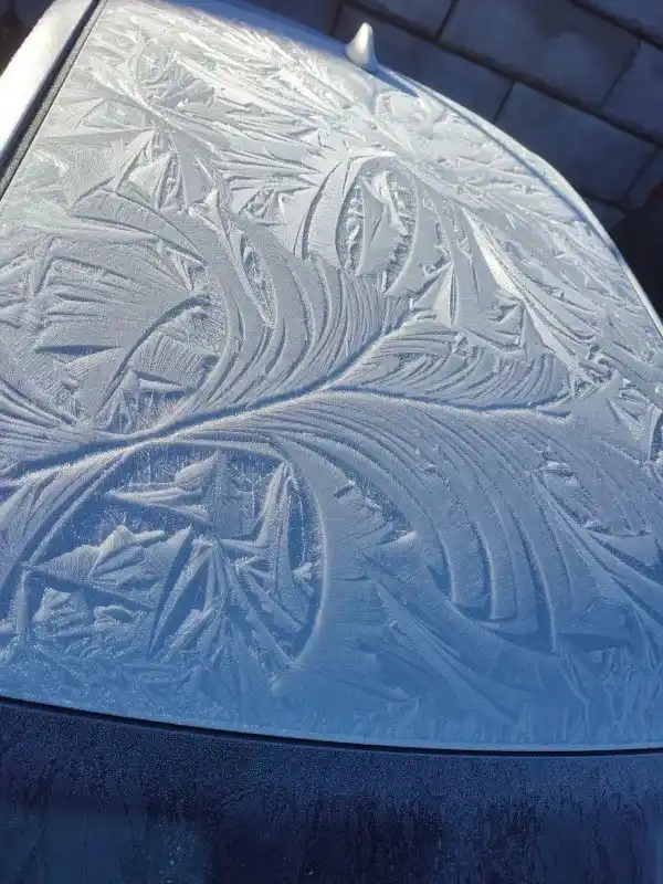 A close-up photo shows intricate, swirling frost patterns covering the curved surface of a car's windshield. The frost forms…