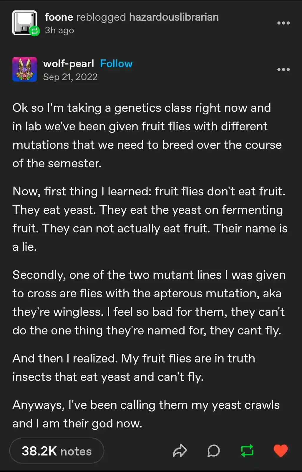 The Curious Case of Fruit Flies