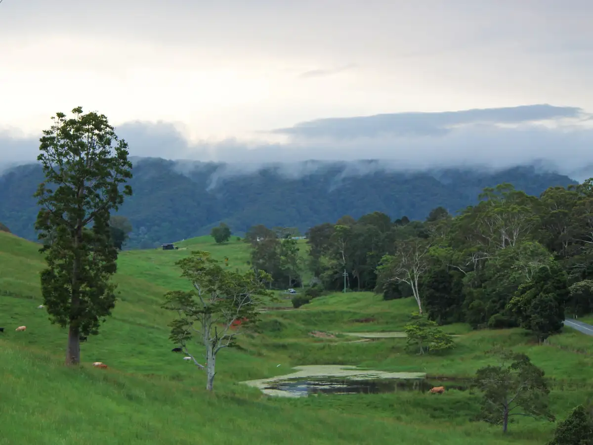 A serene landscape photo shows rolling green hills with scattered trees, grazing cows, and mist-covered mountains in the…