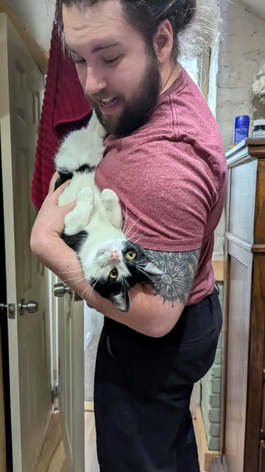 Merry Christmas from My Putty-Tat and Me, with a Dash of Meme Fun!