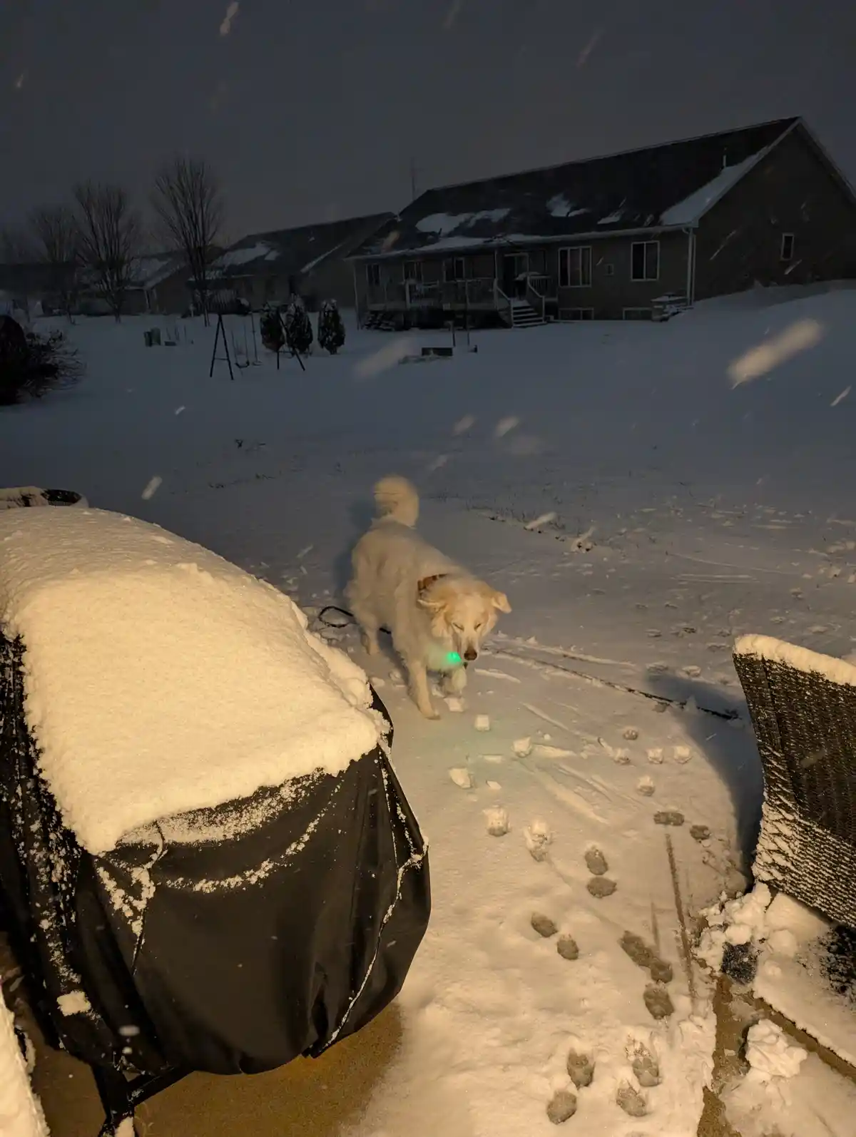 Your Daily Dose of Winter: Day 788 of the Chill