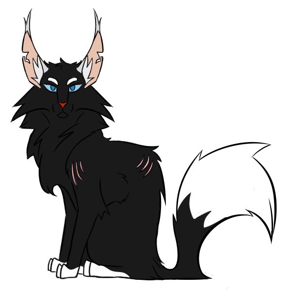 A cartoon illustration of a black, fluffy feline-like creature with blue eyes, white-tipped ears, and a long, bushy…