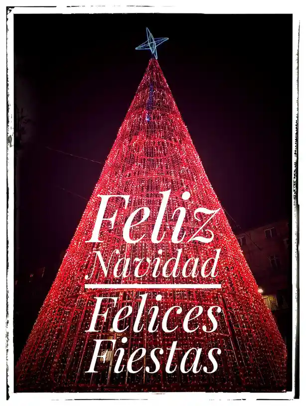 Feliz Navidad: Wishing You a Merry Christmas!