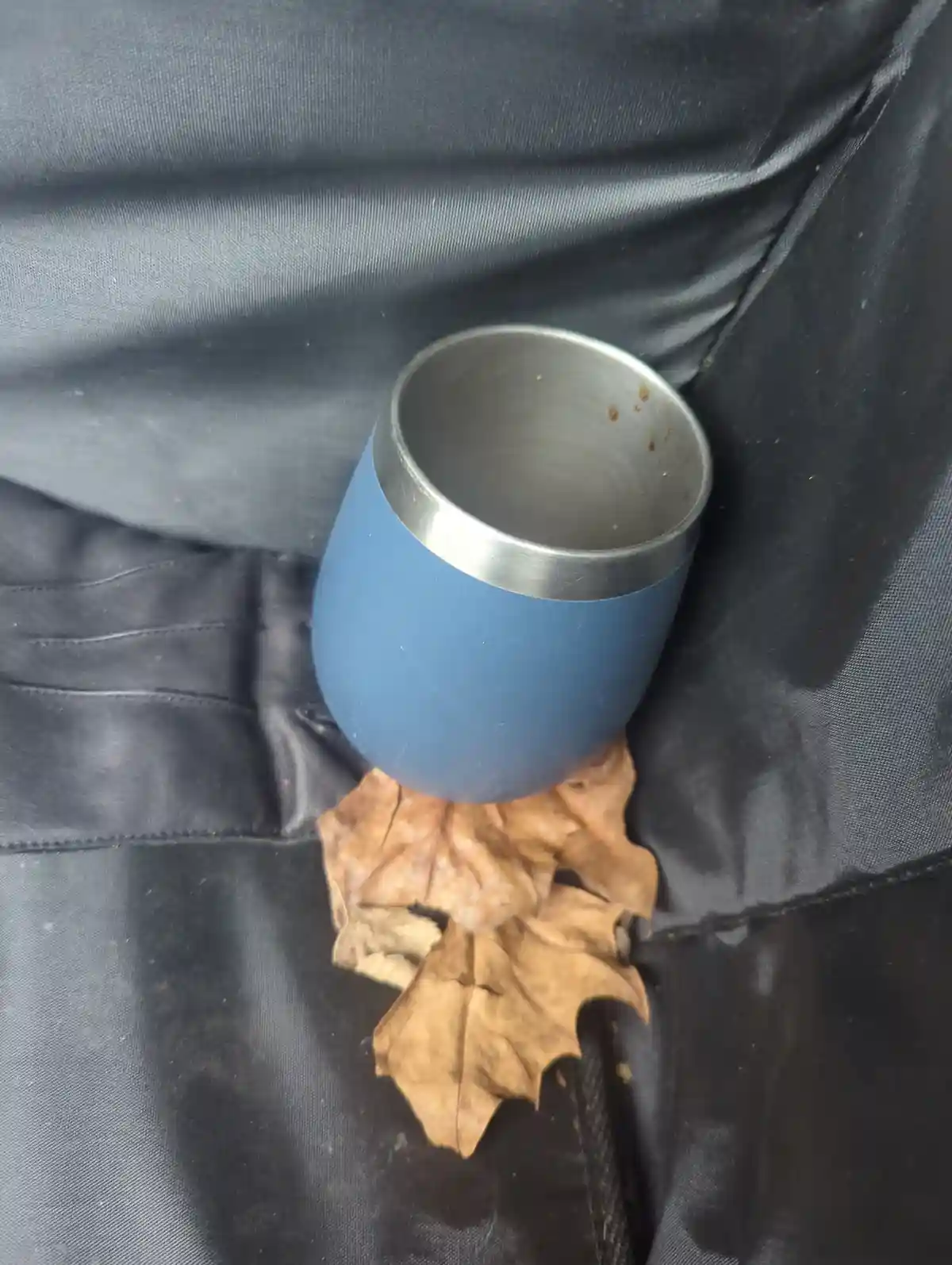A blue insulated cup with a silver rim sits on a dark fabric surface, partially resting on a cluster of dried brown leaves…