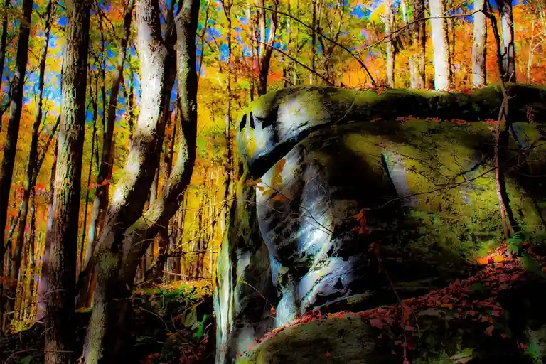A heavily saturated, stylized photo of a large mossy rock in an autumn forest, with trees displaying vibrant orange and…