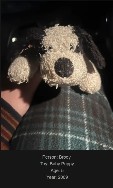 A close-up photo shows a worn, fluffy stuffed puppy toy with black and beige fur, held against a plaid blanket. Text…