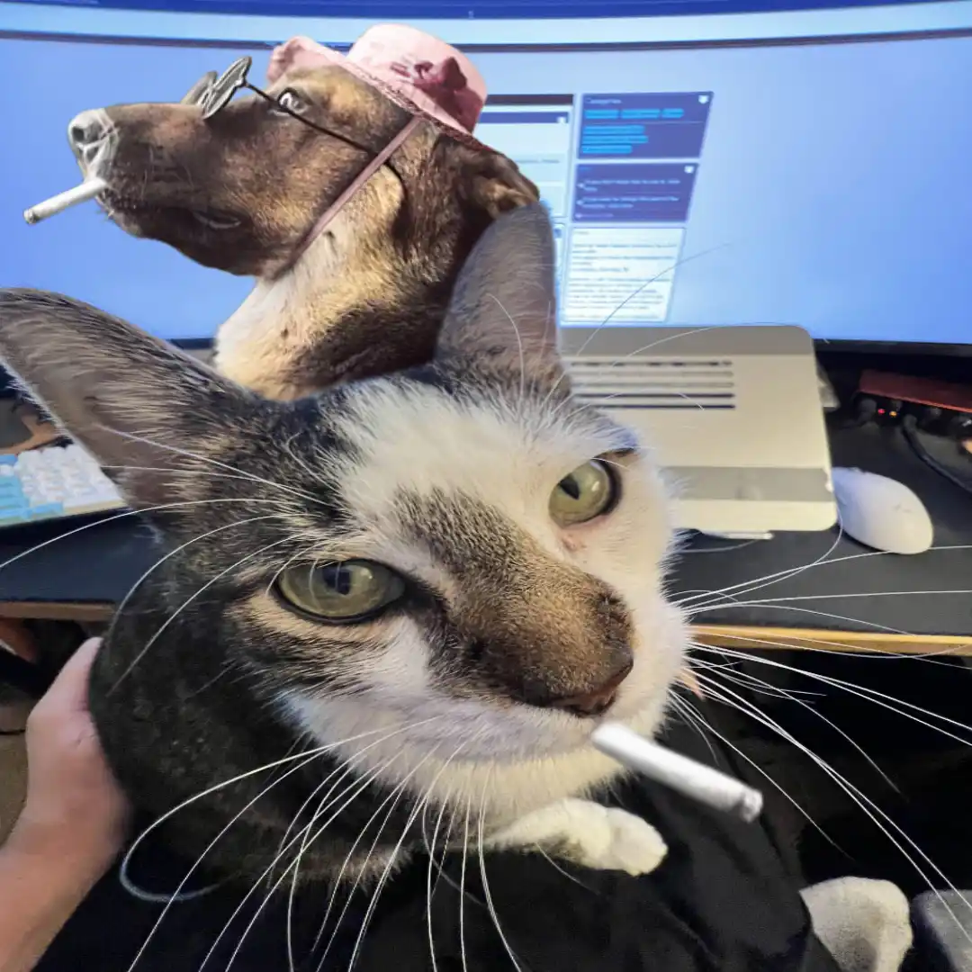 A cat with a cigarette in its mouth is being held by a person, with a dog wearing glasses and a hat and also holding a…