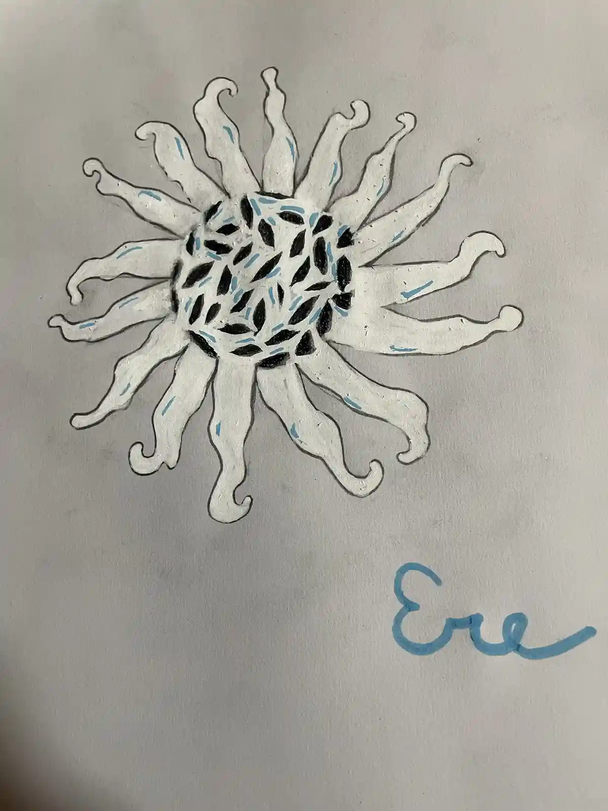 A hand-drawn sunflower with white petals and a black center, accented with blue lines, is shown on gray paper. Below the…