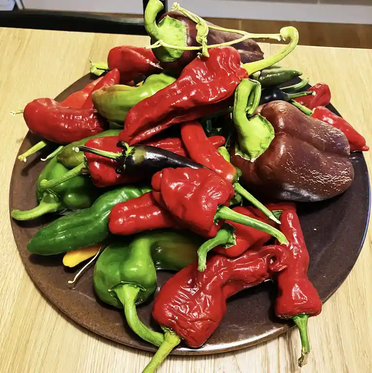 A dark brown plate piled high with a colorful assortment of fresh peppers, including red, green, and one dark purple bell…