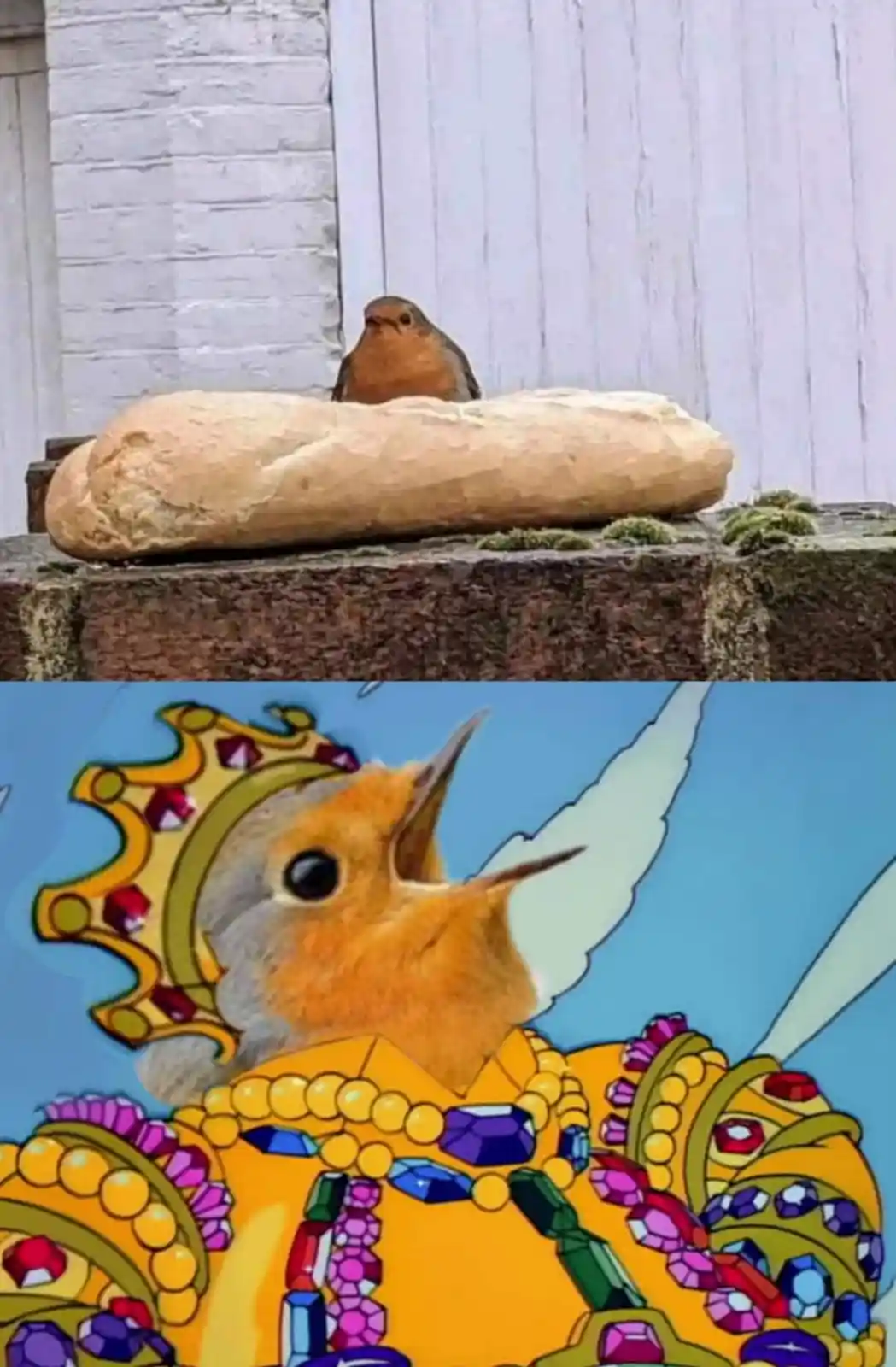 The top panel shows a real European robin perched atop a long baguette on a stone ledge against a white brick wall. The…