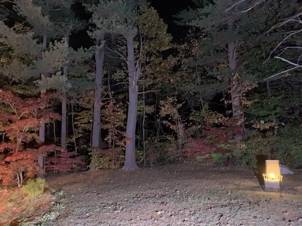 A nighttime photo of a forest with autumn-colored trees and a single illuminated chair in the foreground, overlaid with the…