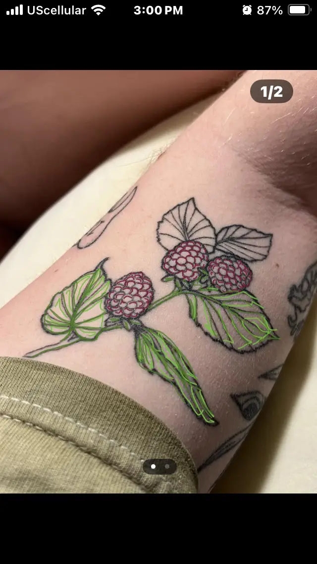 A close-up photo shows a tattoo on a person's forearm featuring a raspberry plant with three red berries and green leaves…