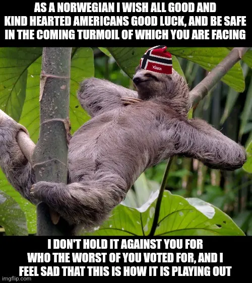 A sloth is lounging on a tree branch in a jungle setting, wearing a red, white, and blue Norwegian flag-patterned beanie…