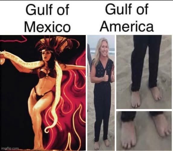 The image is split into two panels. Left: A woman in a bikini with a large snake draped over her, labeled 'Gulf of Mexico'…