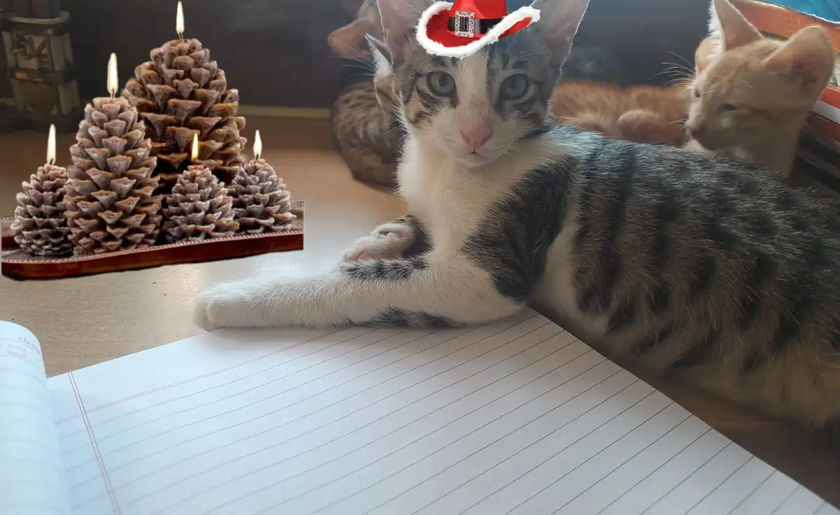 A tabby cat wearing a red and white Santa hat sits on a desk next to an open notebook, with pinecone candles arranged like a…