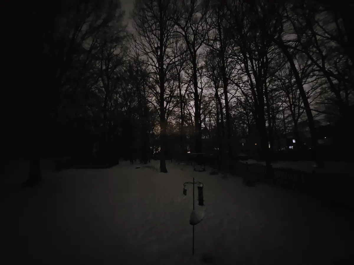 Channeling Blair Witch Vibes in the Woods