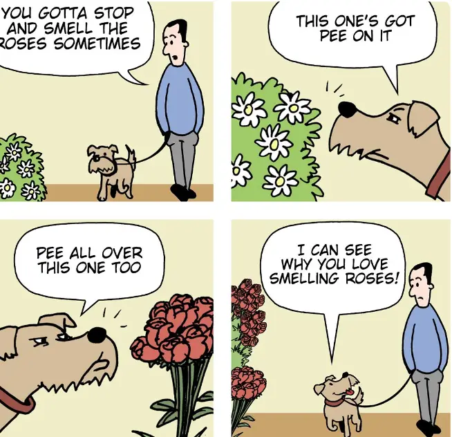 I Totally Understand Why You Love the Scent of Roses!