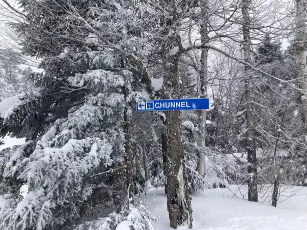 A blue directional sign with a left arrow is taped to a tree in a snowy forest, misspelling 'TUNNEL' as 'CHUNNEL'. Snow…