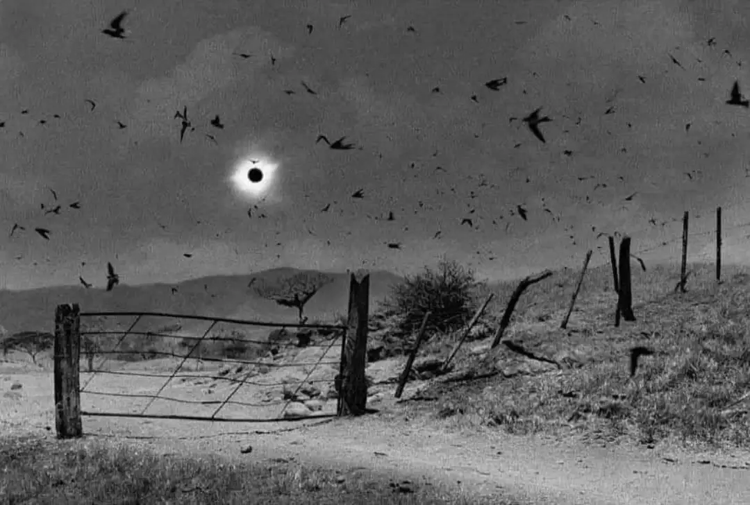 A black-and-white photograph shows a rural landscape with a broken wire fence and distant hills under a sky filled with…
