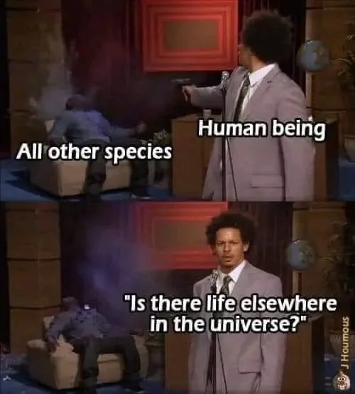 Aren't We Just Amazing Together?