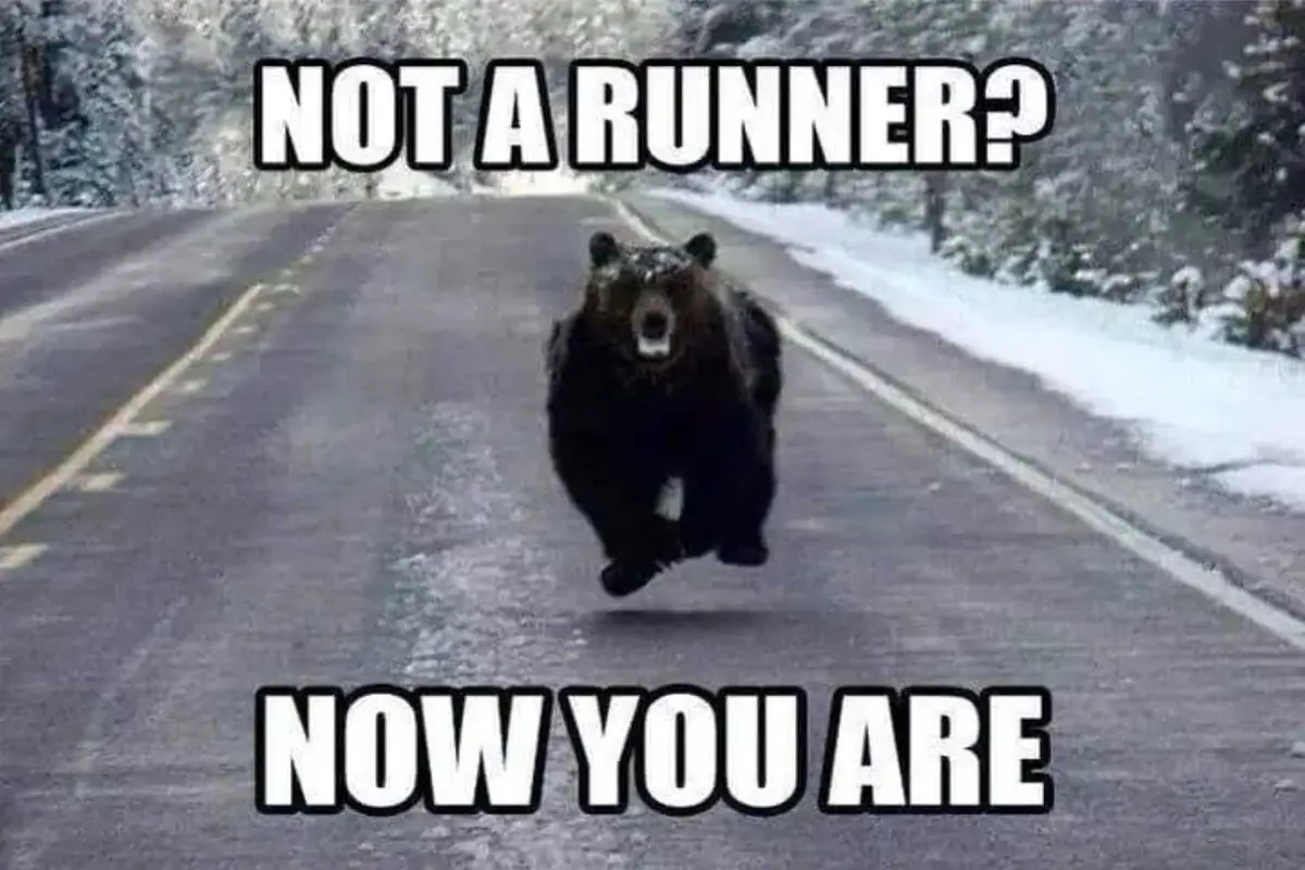 A black bear is captured mid-stride running directly toward the camera down a snowy, paved road flanked by snow-covered…