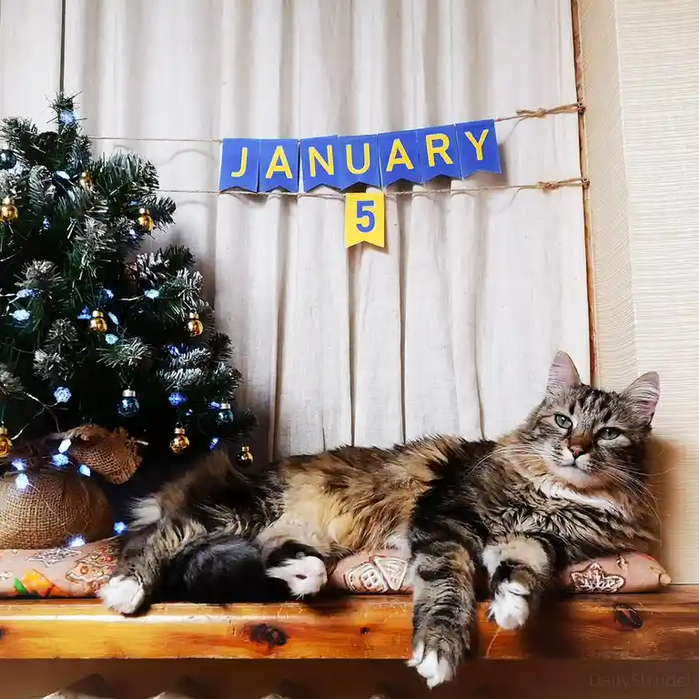 The Significance of January 5th