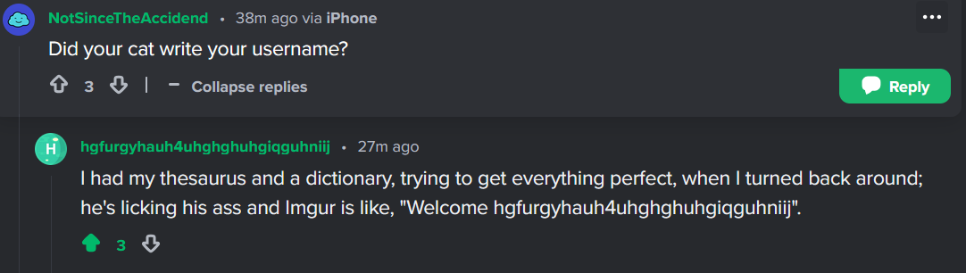 A screenshot of a Reddit comment thread where a user asks if their cat wrote their username. The reply, posted by a user…