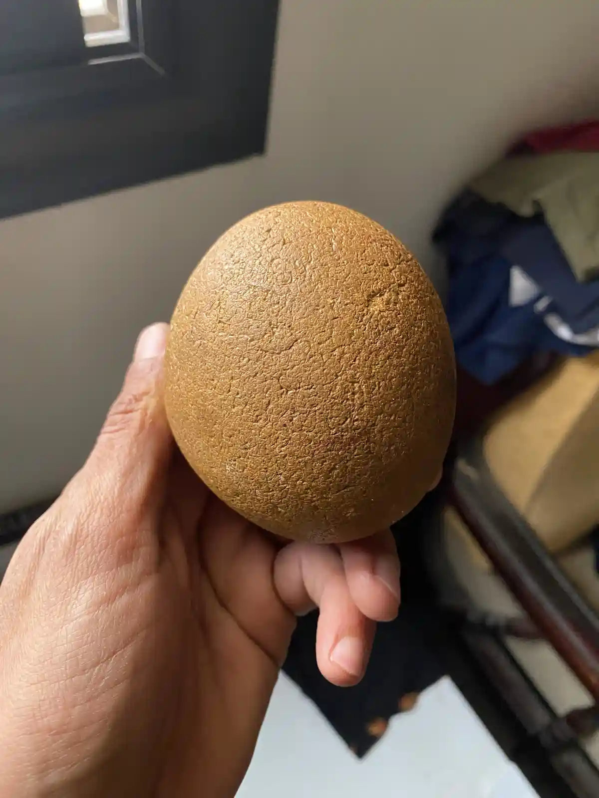 A hand holds a large, brown, textured egg-shaped object that resembles a kiwi fruit but is clearly not one, with overlaid…