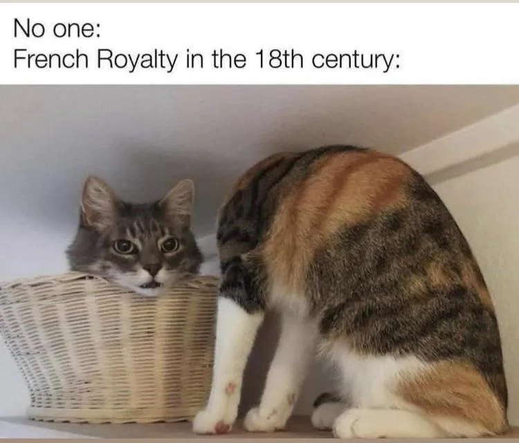 A calico cat is shown from behind, bent over and partially inside a wicker basket, while a tabby cat peers out from the…