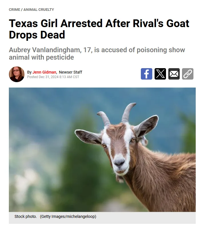 A news article screenshot shows a headline about a Texas girl accused of poisoning a rival's goat, with a stock photo of a…