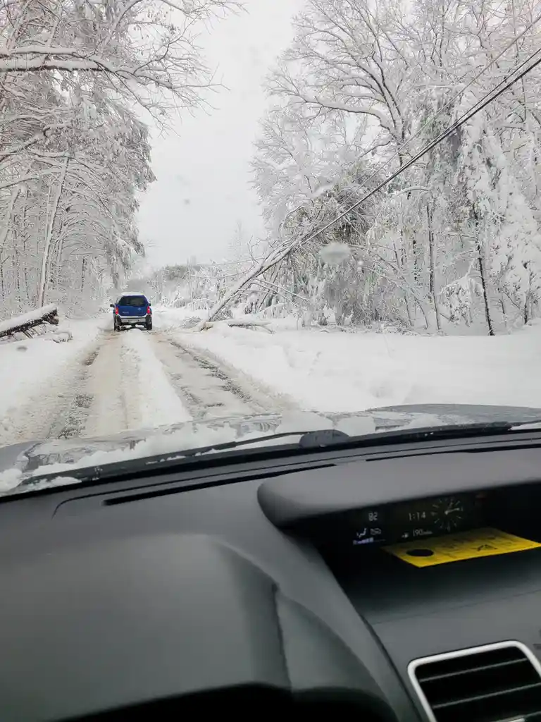 Spotsy Snow: A Winter Wonderland of 2022