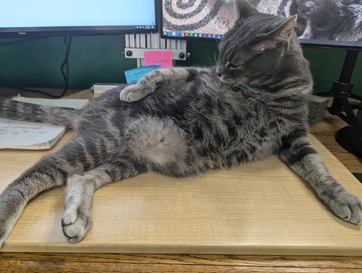 Draw me like one of your French girls, please!
