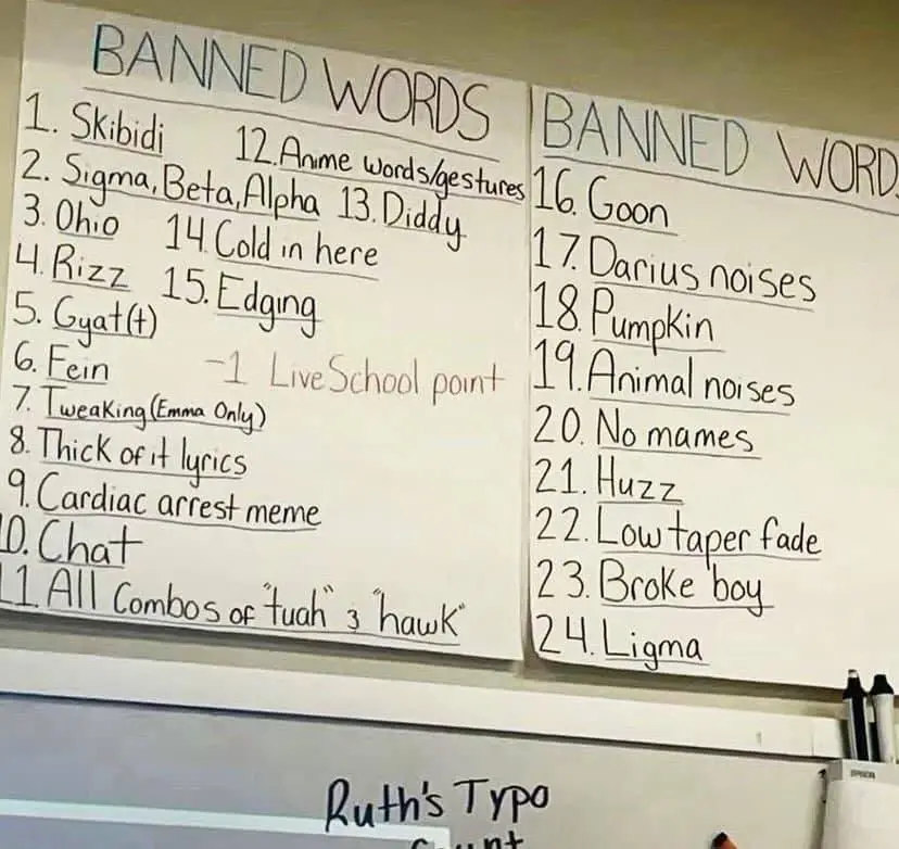 A whiteboard displays two columns titled 'BANNED WORDS' listing internet slang, pop culture references, and explicit terms…
