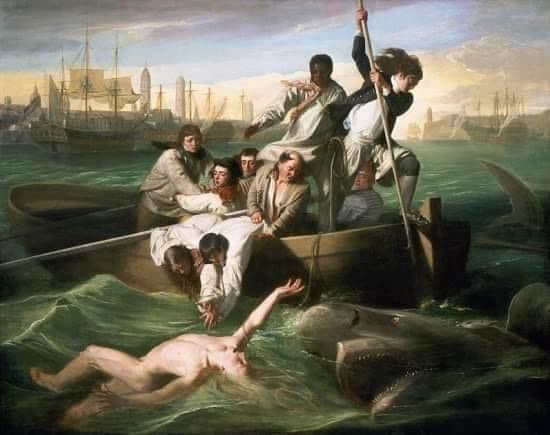 The Iconic Shark Painting from 1778