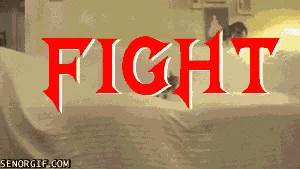 A sequence of six frames shows two cats fighting on a white couch, then one cat fleeing while the other remains. The first…
