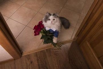 a fluffy long-haired cat wearing a blue bowtie sits on a tiled floor at a doorway, holding a bouquet of red roses in its…