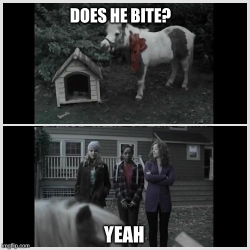 The top panel shows a small pony with a red bow standing next to a doghouse, with the text 'DOES HE BITE?' overlaid. The…