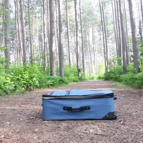 A black and white dog approaches a blue suitcase in a forest, then jumps inside and settles down, peeking out with a calm…
