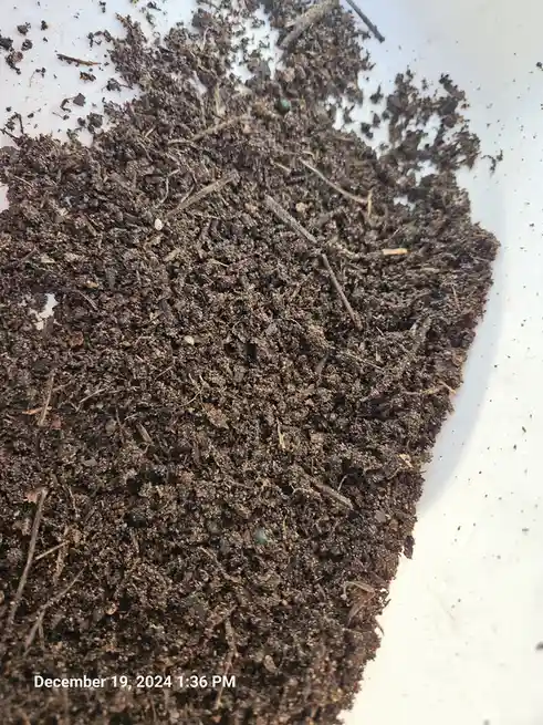 Unveiling the Secret to Thriving Plants: The Magic of Microbial Decay in My Matured Compost